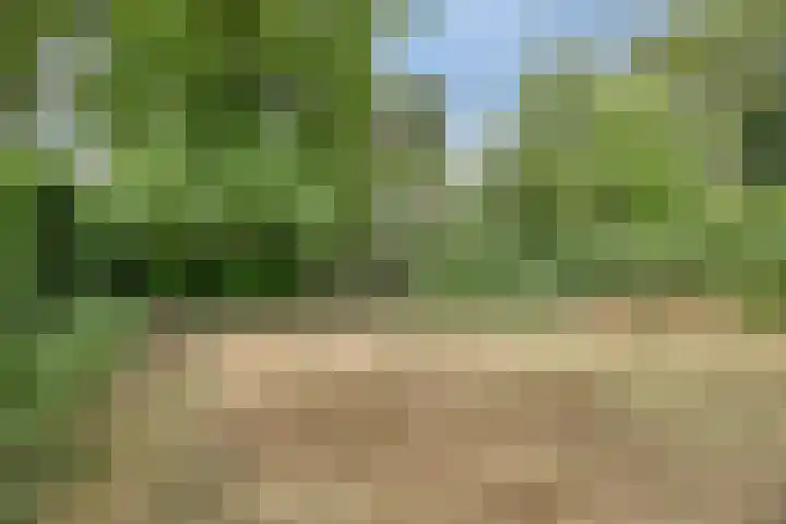Mariastraat 9 Rosmalen thumbnail 36