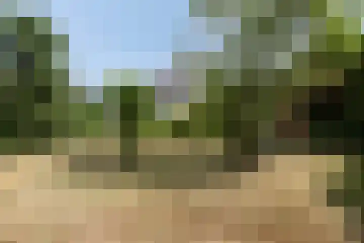 Mariastraat 9 Rosmalen thumbnail 37