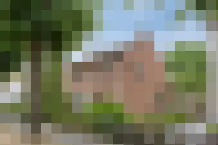 Mariastraat 9 Rosmalen thumbnail 39