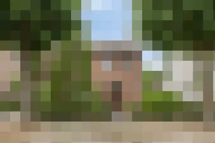 Mariastraat 9 Rosmalen thumbnail 40