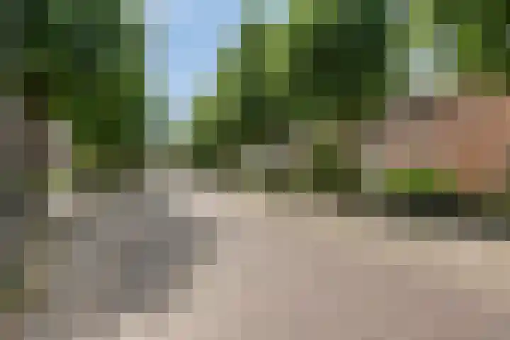 Mariastraat 9 Rosmalen thumbnail 41