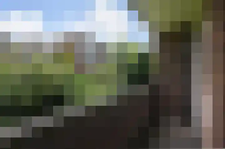 Mariastraat 90 Den Haag thumbnail 31
