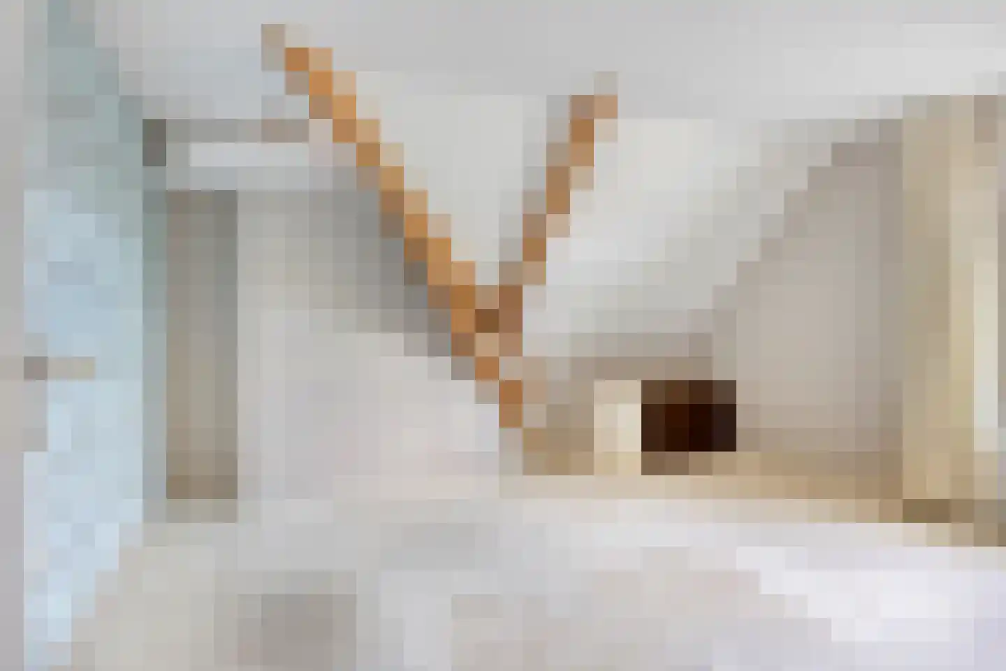 Mariaweg 35 Oosterbeek thumbnail 24