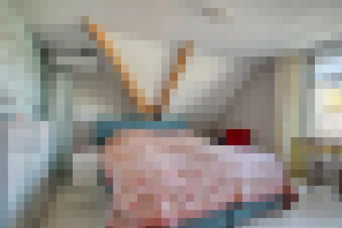 Mariaweg 35 Oosterbeek thumbnail 30