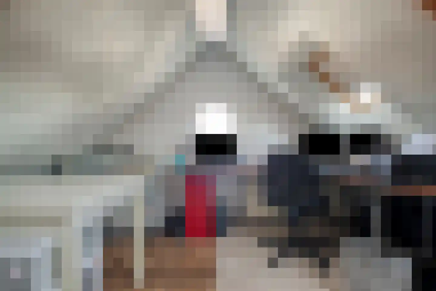 Mariaweg 35 Oosterbeek thumbnail 39