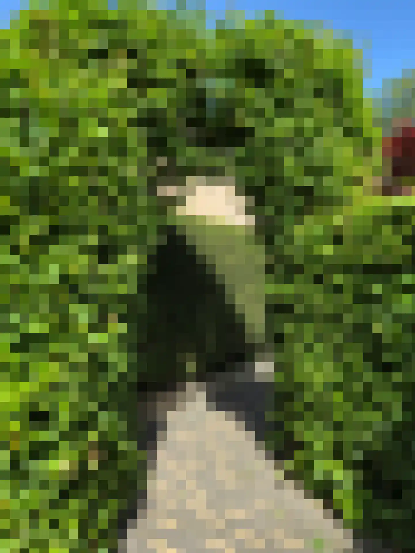 Mariaweg 35 Oosterbeek thumbnail 4