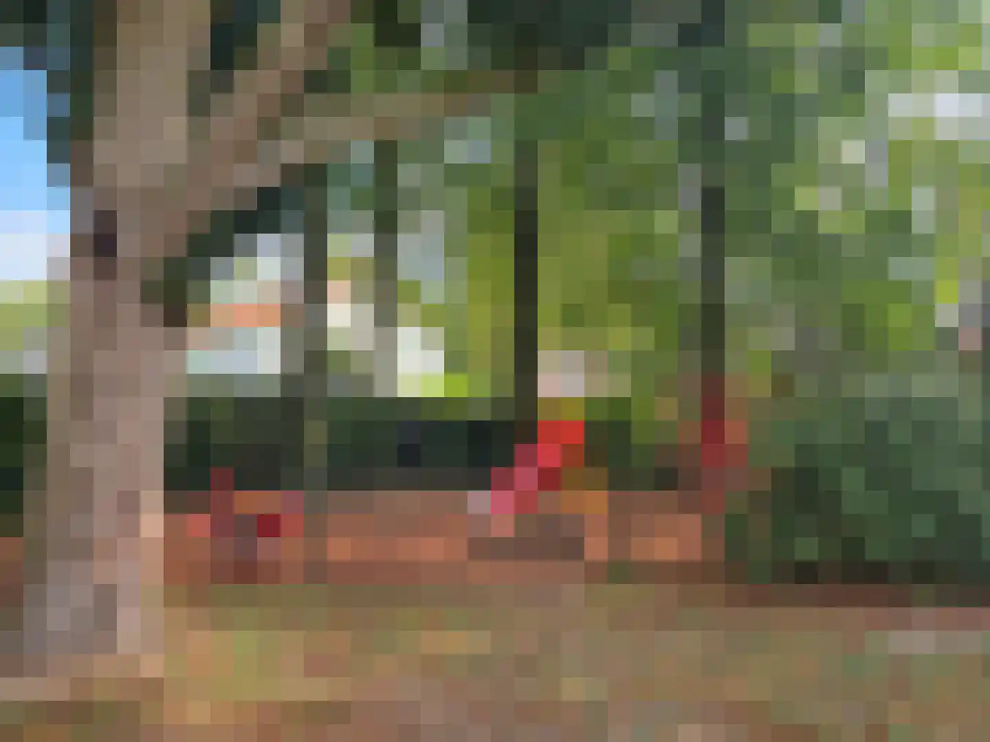 Mariaweg 35 Oosterbeek thumbnail 43