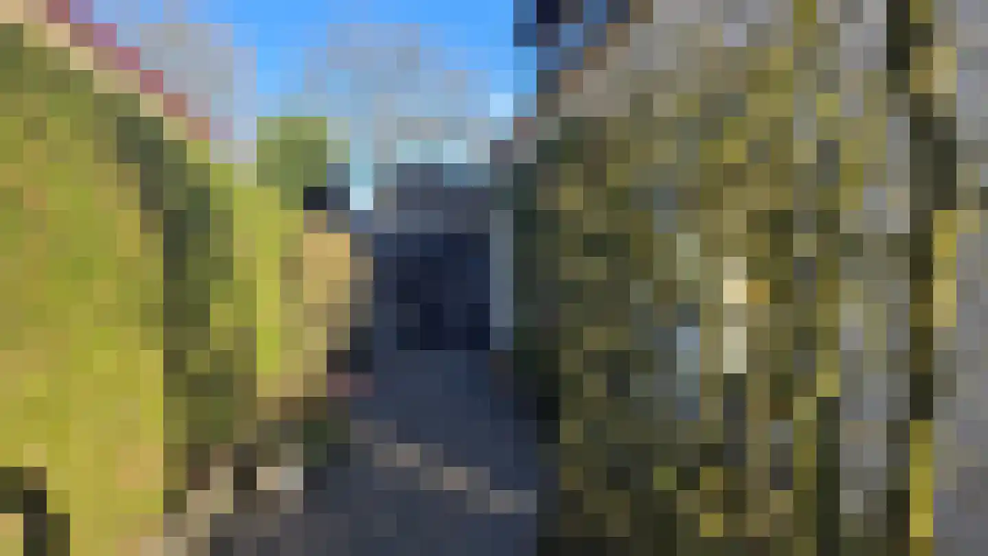 Mariaweg 35 Oosterbeek thumbnail 44