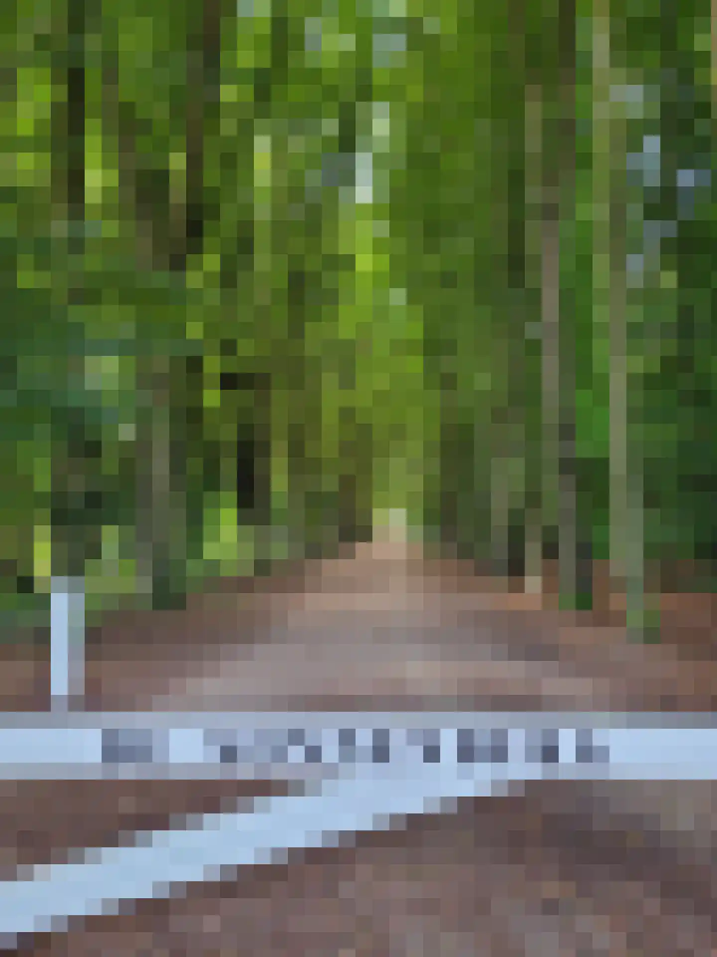 Mariaweg 35 Oosterbeek thumbnail 45