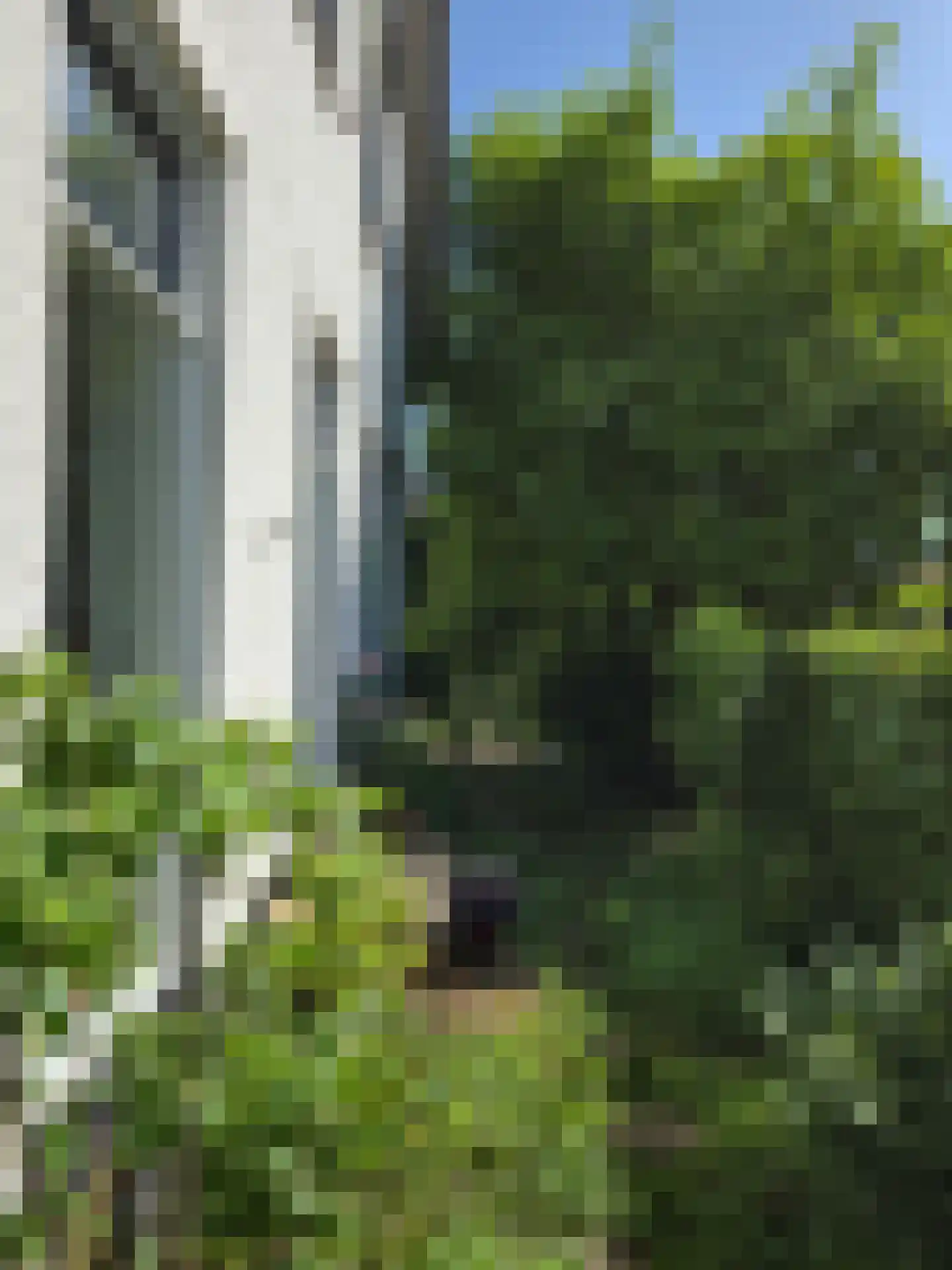 Mariaweg 35 Oosterbeek thumbnail 47