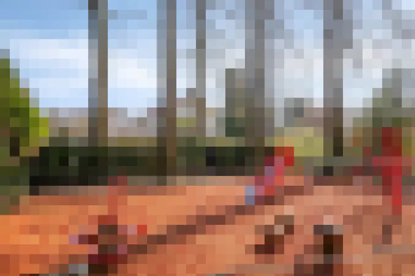 Mariaweg 35 Oosterbeek thumbnail 58