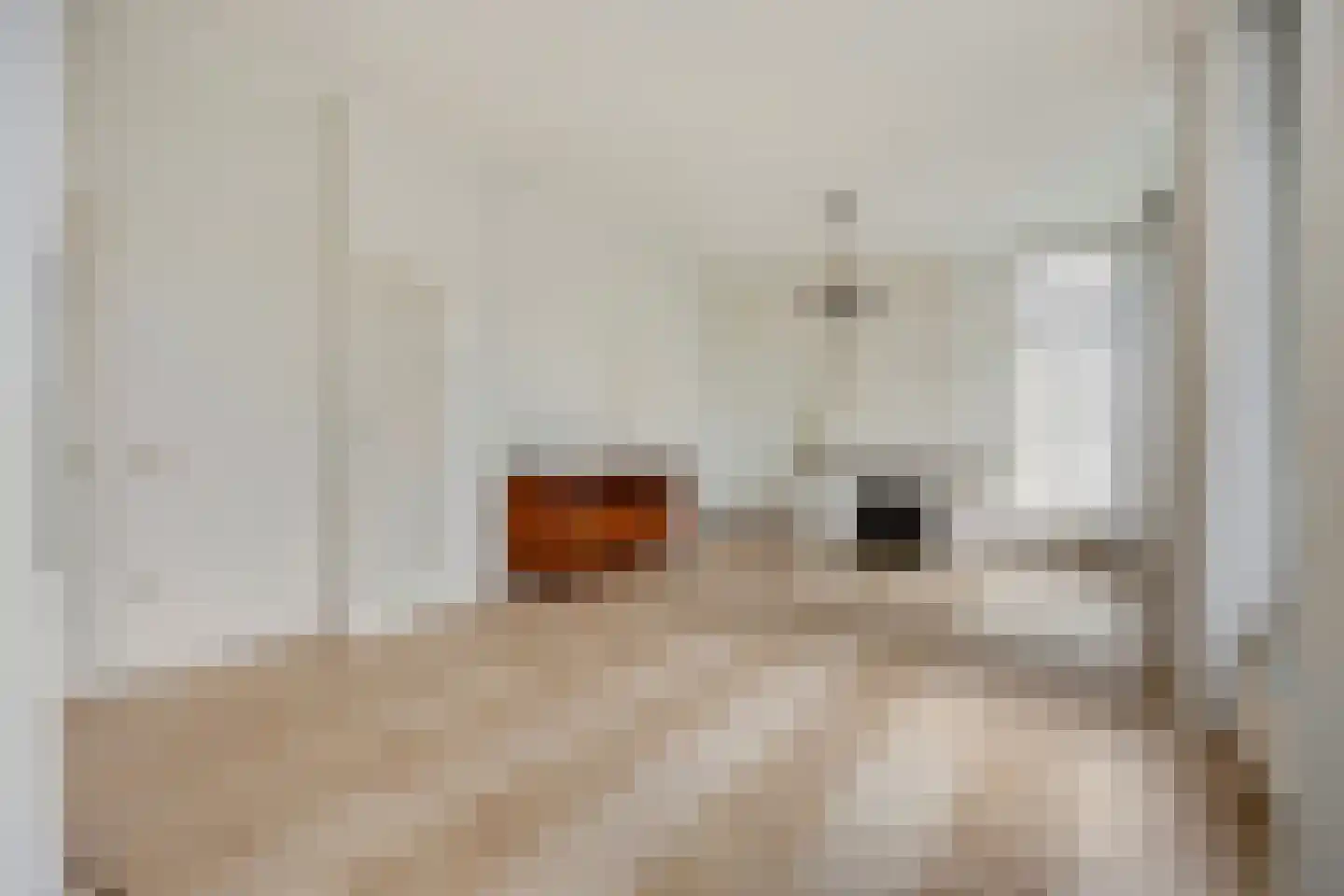 Mariaweg 35 Oosterbeek thumbnail 7