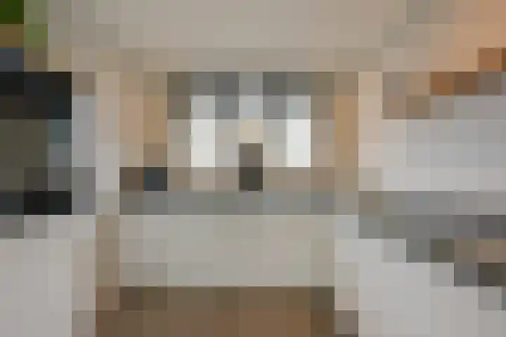 Marickenlaan 25 Wilnis thumbnail 11