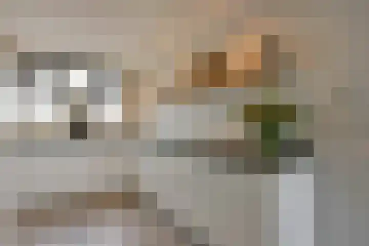 Marickenlaan 25 Wilnis thumbnail 13