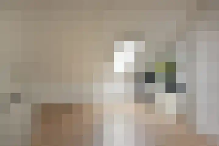 Marickenlaan 25 Wilnis thumbnail 27