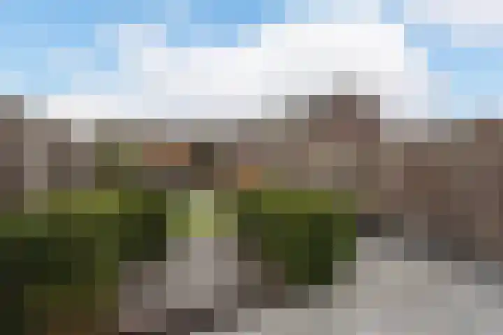 Marickenlaan 25 Wilnis thumbnail 29