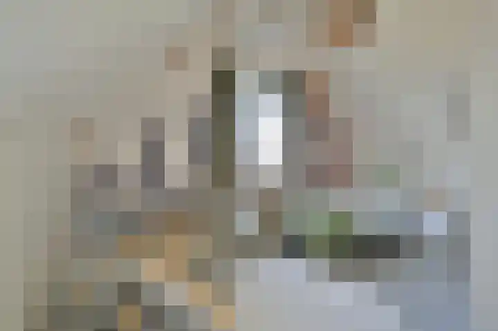 Marickenlaan 48 Wilnis thumbnail 32