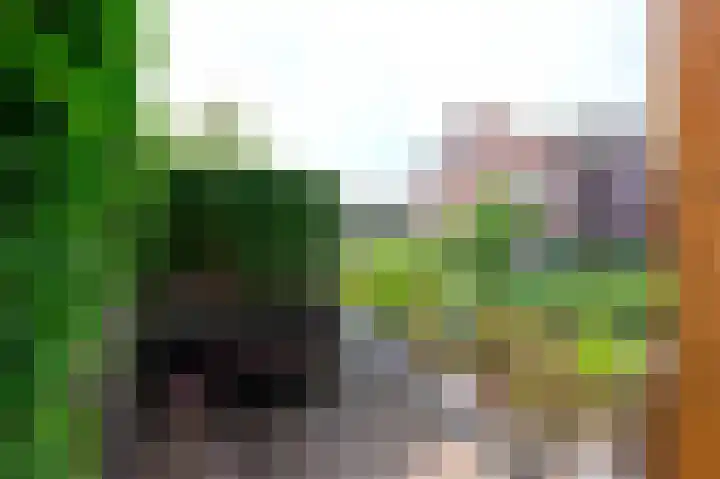 Marickenlaan 48 Wilnis thumbnail 42