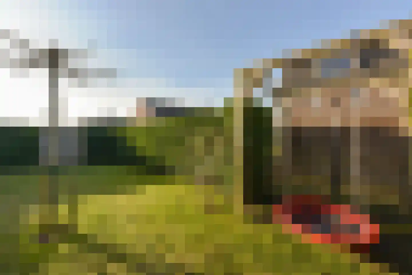 Marickenlaan 56 Wilnis thumbnail 42