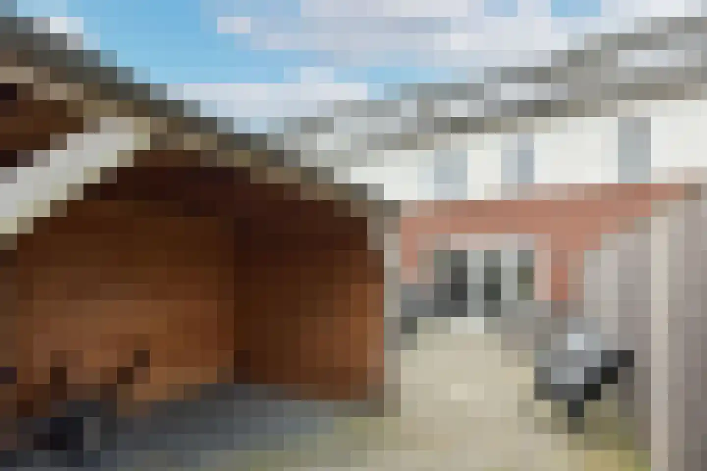 Marickenlaan 61 Wilnis thumbnail 23