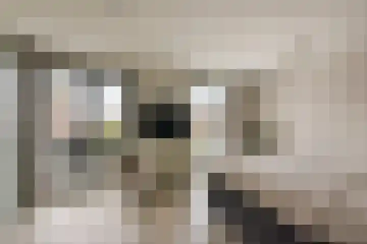 Marickenlaan 72 Wilnis thumbnail 22