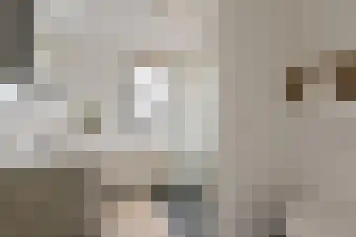 Marickenlaan 72 Wilnis thumbnail 24