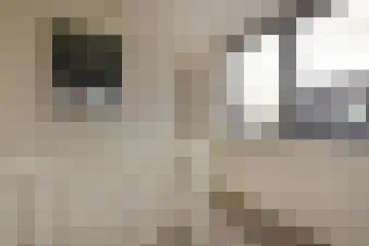 Marickenlaan 72 Wilnis thumbnail 26