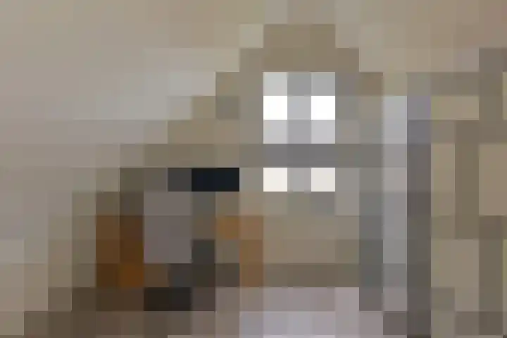 Marickenlaan 72 Wilnis thumbnail 29