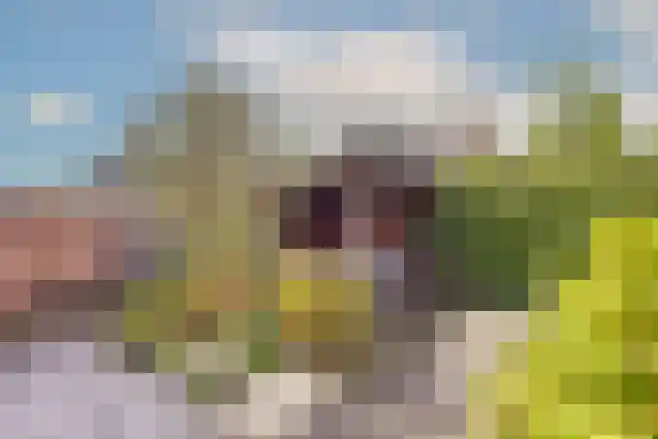 Marickenlaan 72 Wilnis thumbnail 36