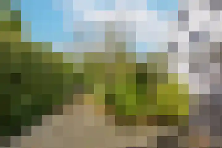 Marickenlaan 72 Wilnis thumbnail 39