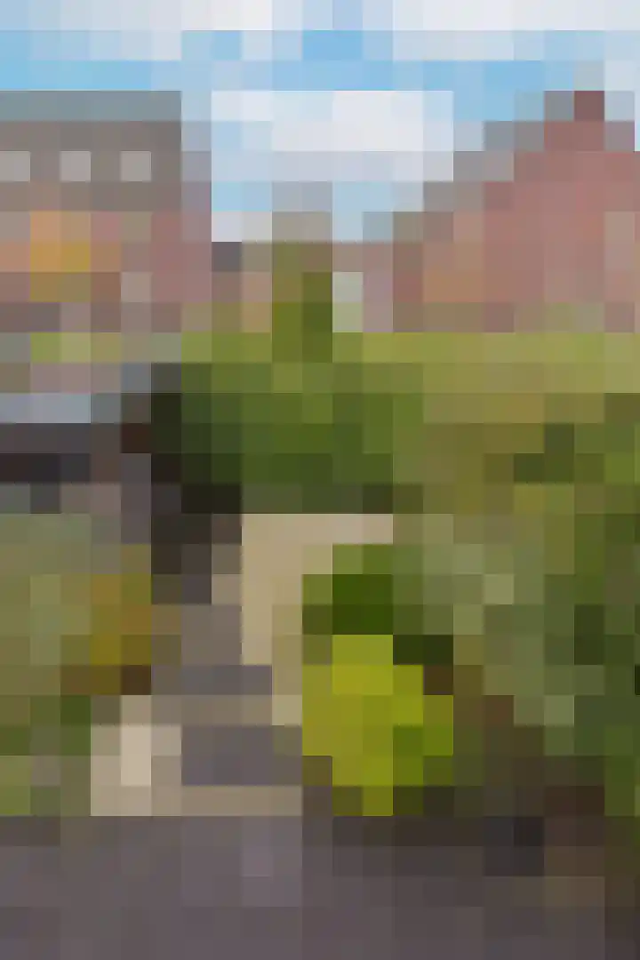 Marickenlaan 72 Wilnis thumbnail 45