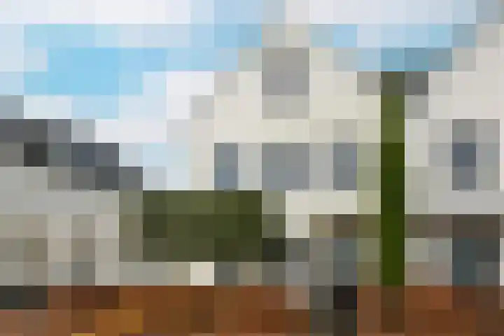 Marickenlaan 72 Wilnis thumbnail 5