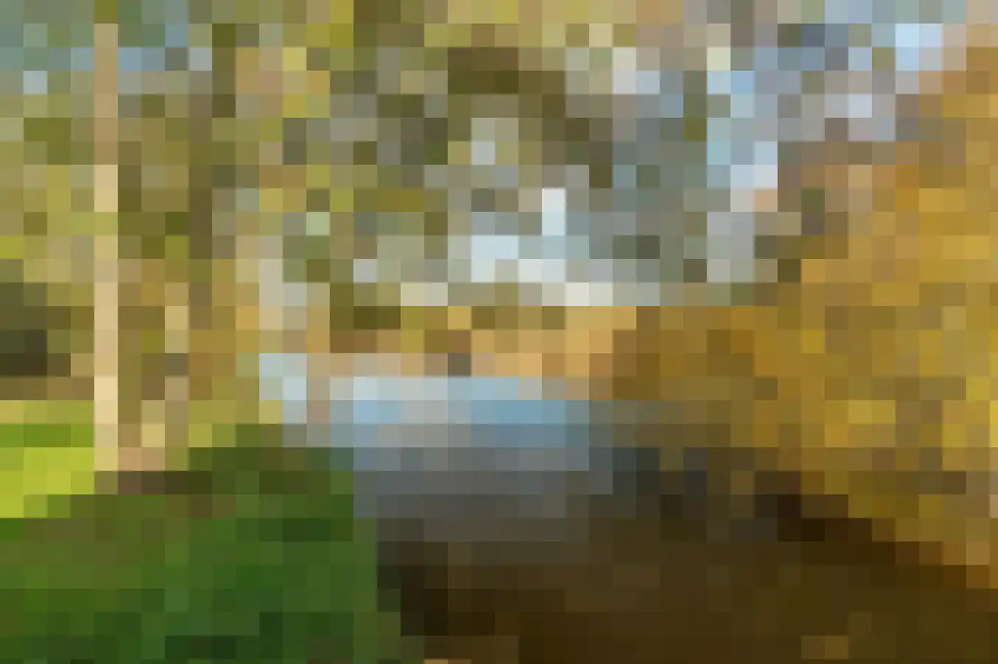 Marie Baronlaan 49 Amstelveen thumbnail 33