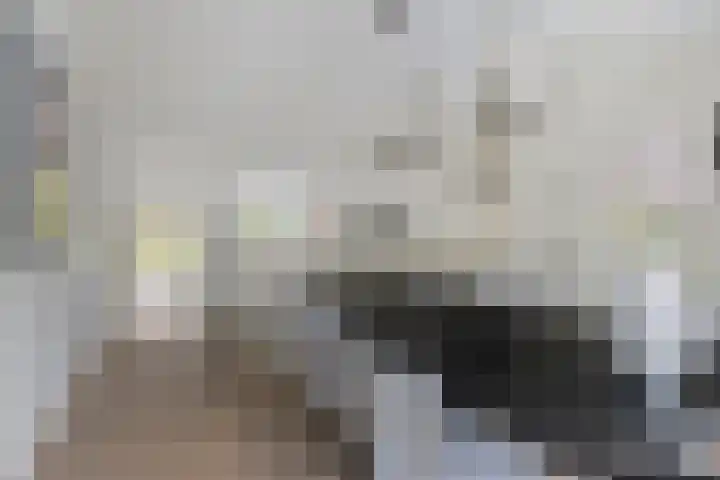 Marie Baronstraat 14 Rotterdam thumbnail 8