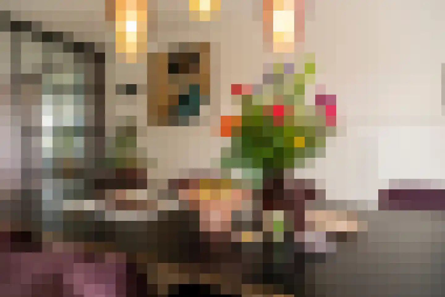 Marie Baronstraat 22 Tilburg thumbnail 17