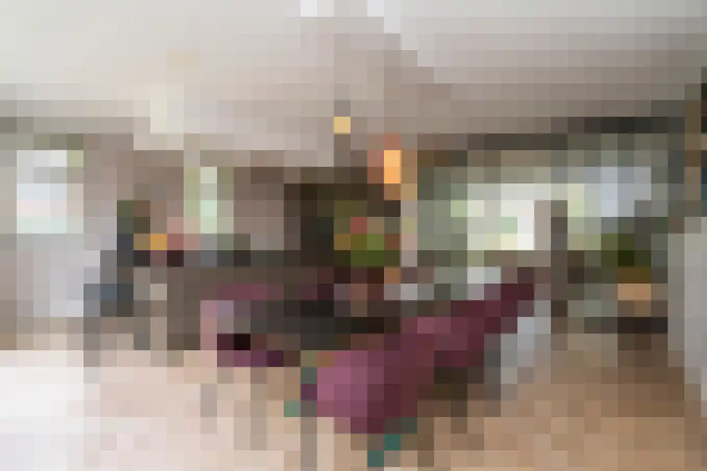 Marie Baronstraat 22 Tilburg thumbnail 18