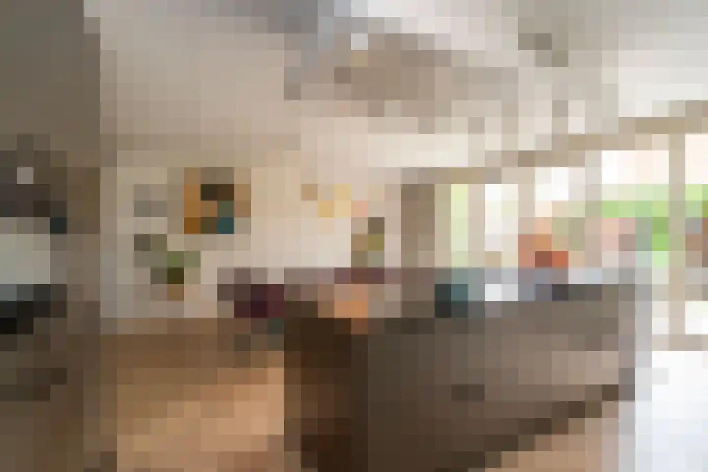 Marie Baronstraat 22 Tilburg thumbnail 23