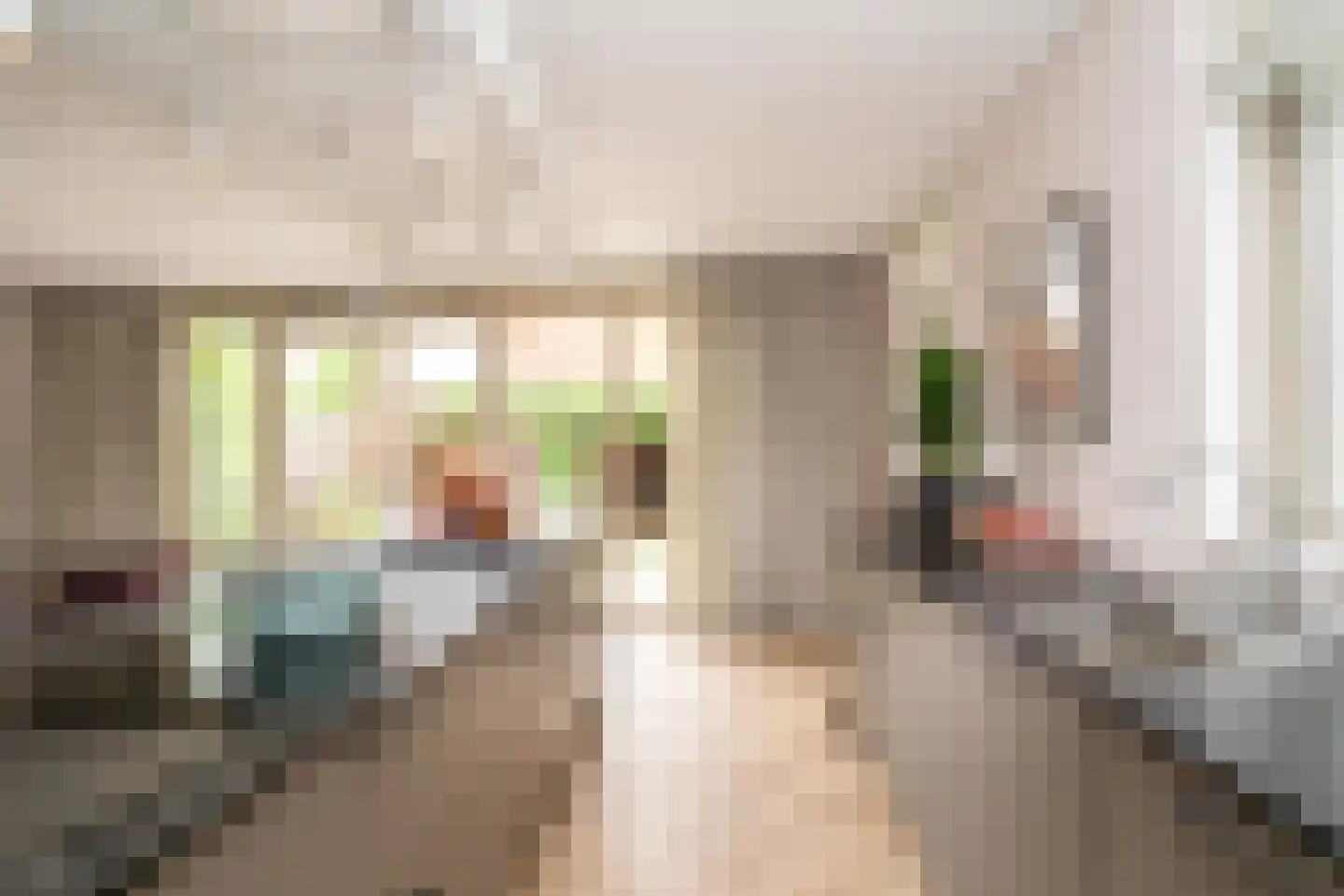 Marie Baronstraat 22 Tilburg thumbnail 24