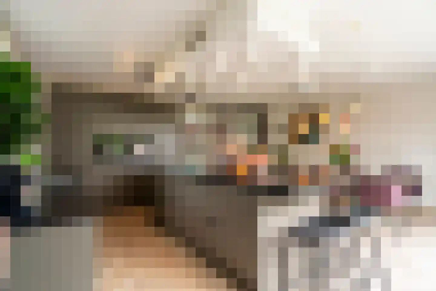 Marie Baronstraat 22 Tilburg thumbnail 25