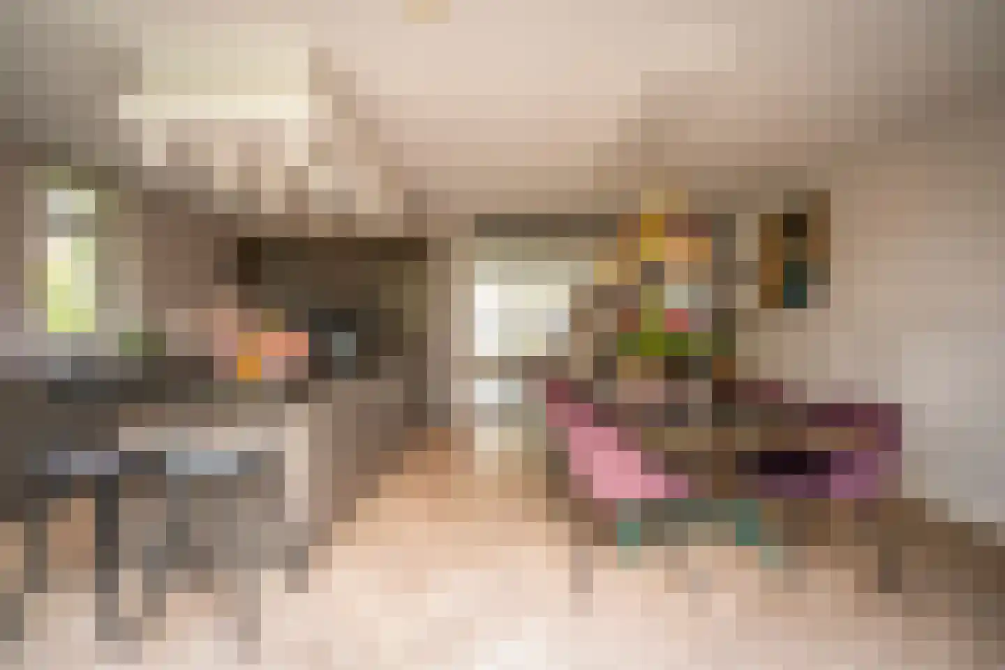 Marie Baronstraat 22 Tilburg thumbnail 26