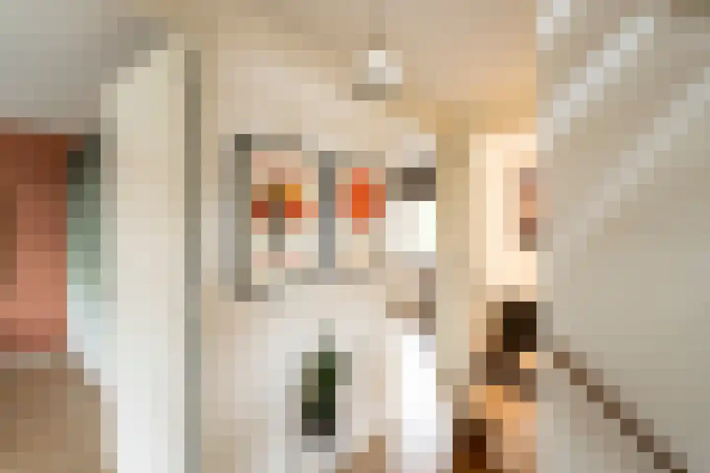 Marie Baronstraat 22 Tilburg thumbnail 29