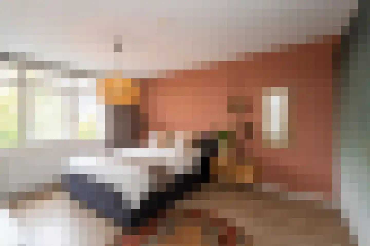Marie Baronstraat 22 Tilburg thumbnail 30