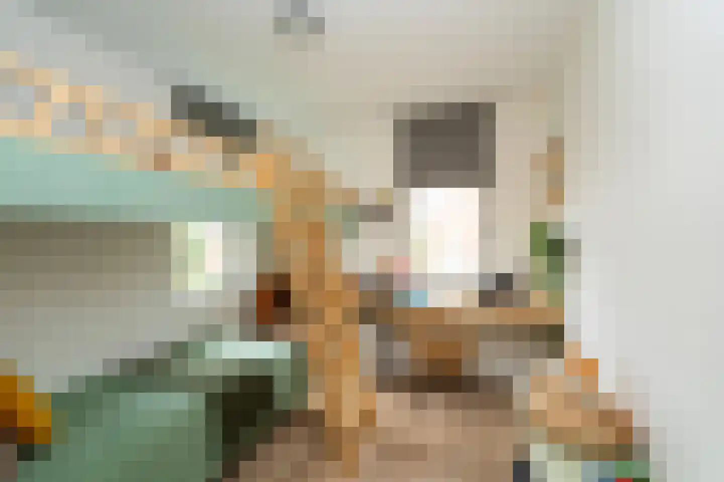 Marie Baronstraat 22 Tilburg thumbnail 33