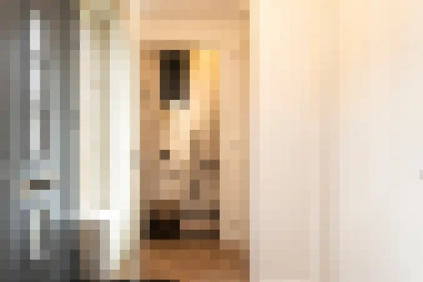 Marie Baronstraat 22 Tilburg thumbnail 4