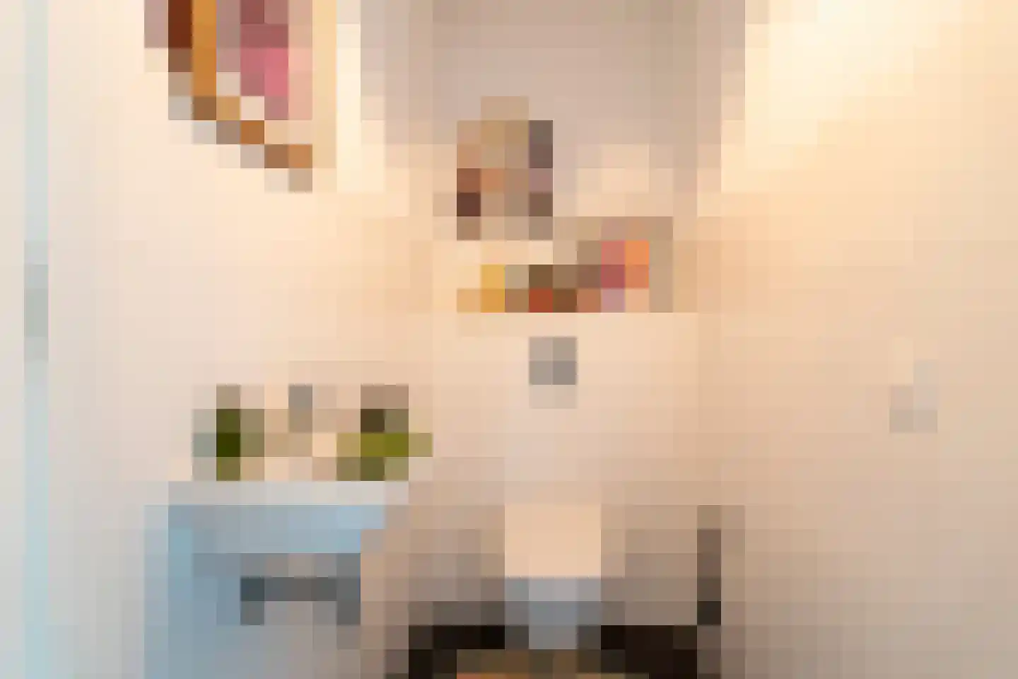 Marie Baronstraat 22 Tilburg thumbnail 43