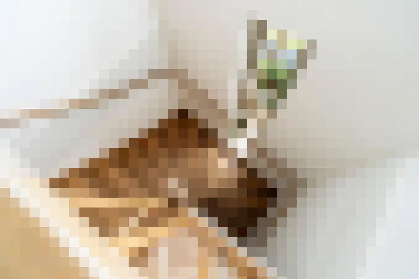 Marie Baronstraat 22 Tilburg thumbnail 45