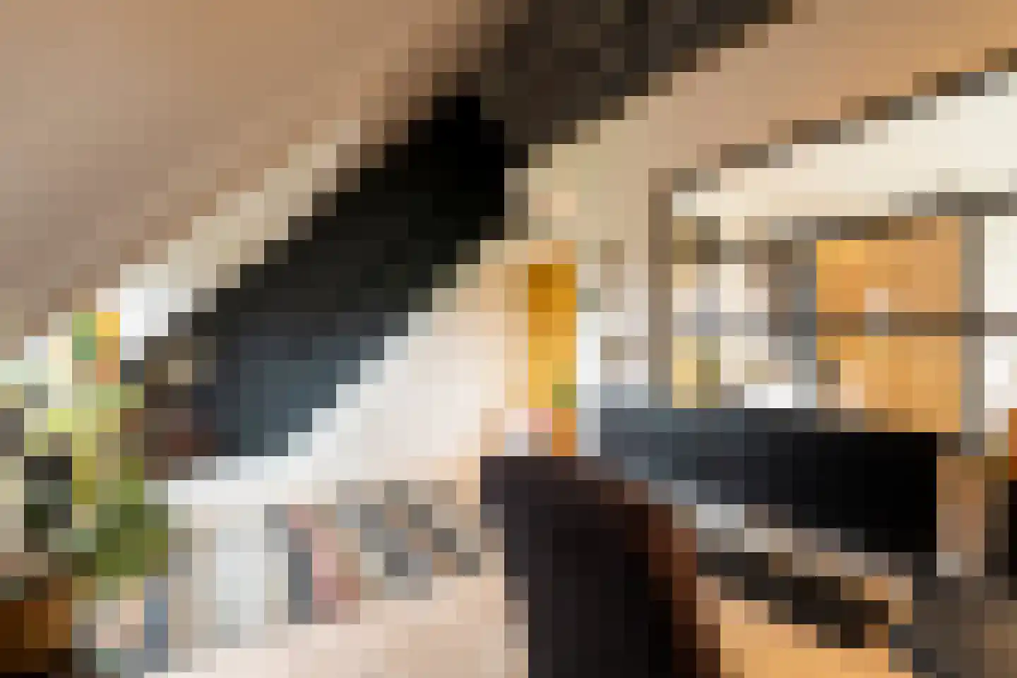 Marie Baronstraat 22 Tilburg thumbnail 50