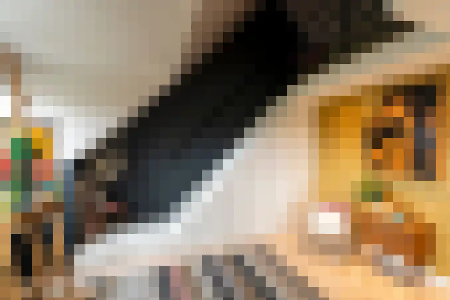 Marie Baronstraat 22 Tilburg thumbnail 51