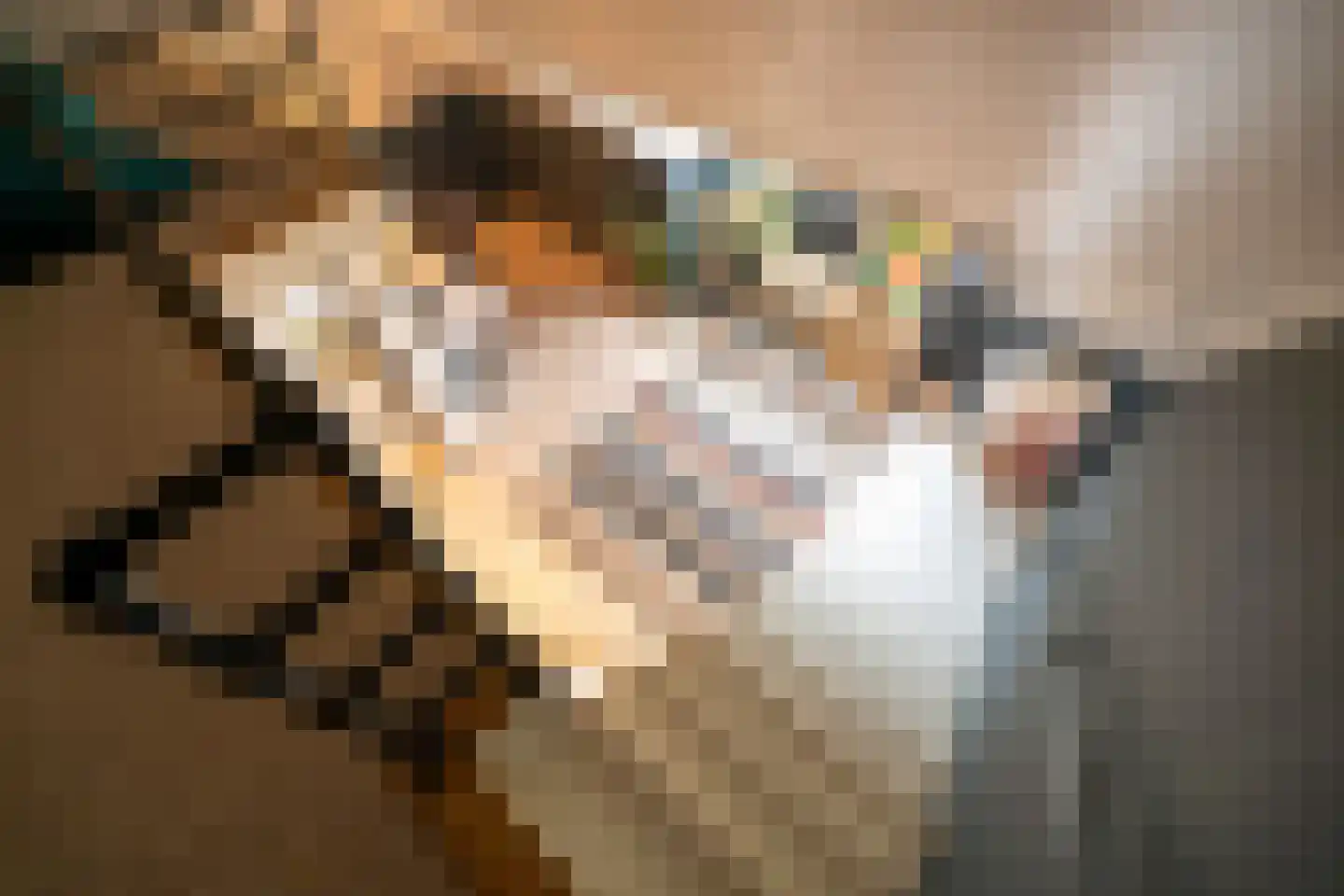 Marie Baronstraat 22 Tilburg thumbnail 56