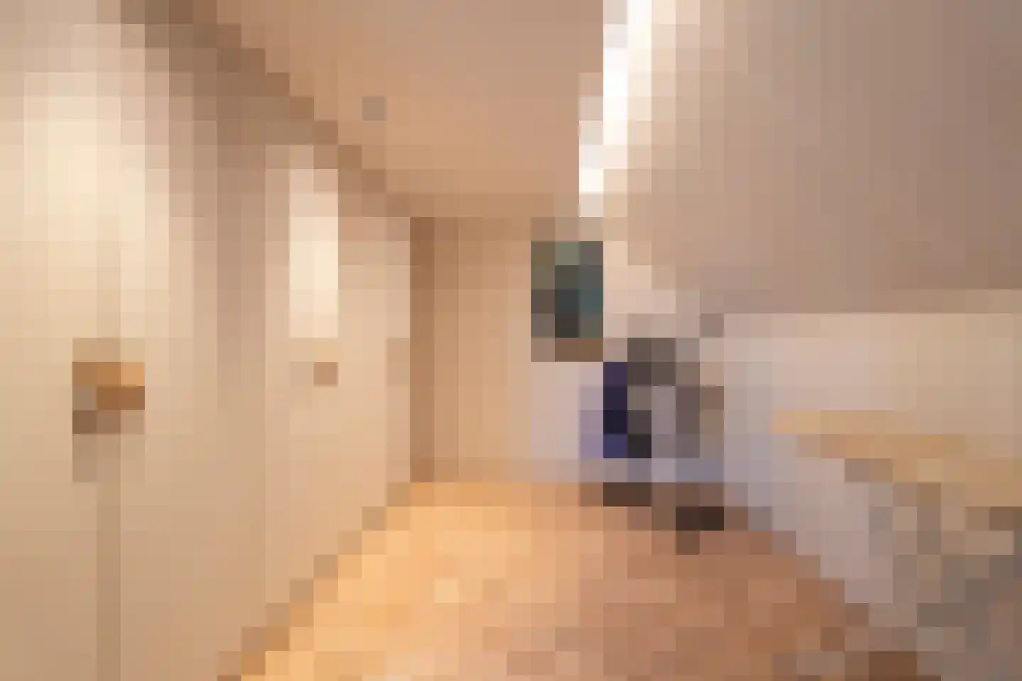Marie Baronstraat 22 Tilburg thumbnail 58